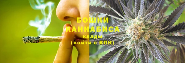 амф Аркадак